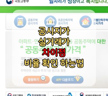 공시지가 실거래가 차이 비율